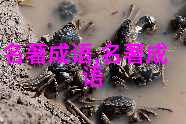 穷家富路