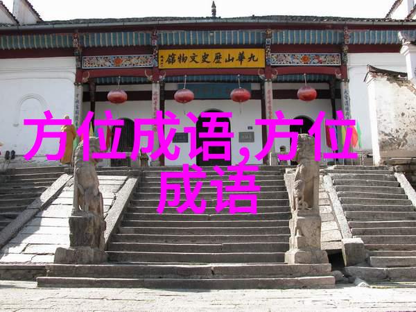 返视内照